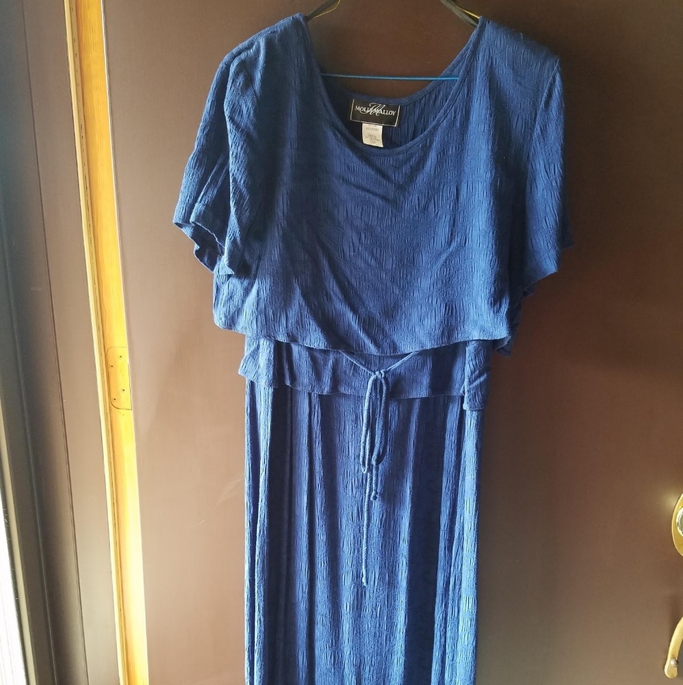 Molly malloy blue vintage dress. Size 8.
